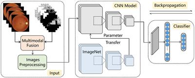 A Multimodal Classification Architecture for the Severity Diagnosis of Glaucoma Based on Deep Learning